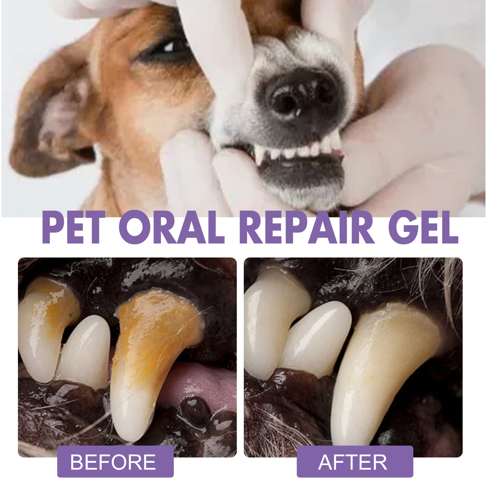 Gel de reparação oral para ani - Teeth Whitening Cream avaliação e preço
